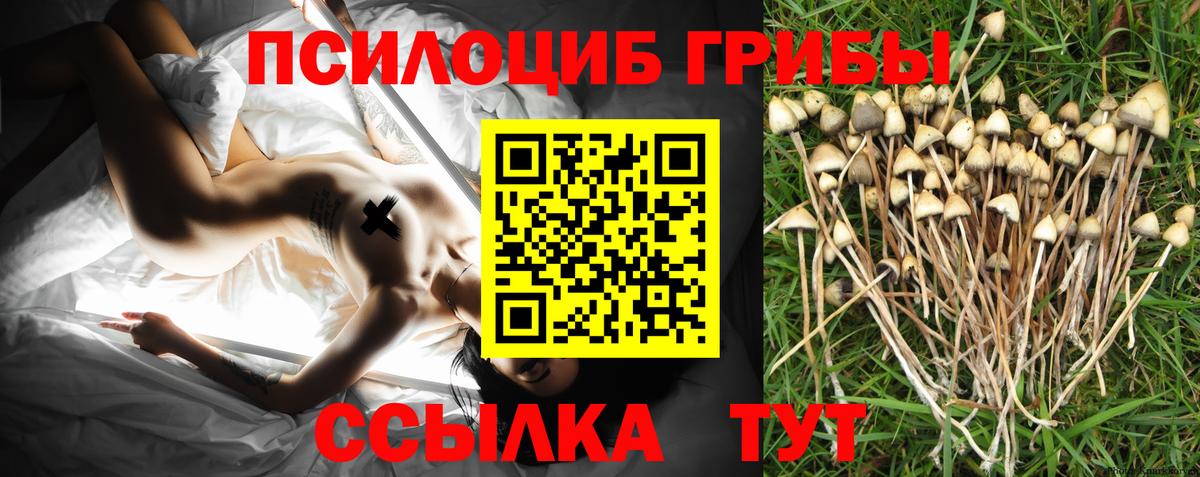 Галлюциногенные грибы прущие грибы  Галлюциногенные грибы мухоморы  Черкесск  Вход с VPN 